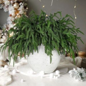 Christmas Décor - Plants & Flowers